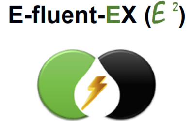 E-fluent-EX